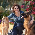 Can our pets reduce stress? 12 ways your pet is boosting your wellbeing