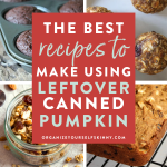 The Best Recipes Using Canned Pumpkin