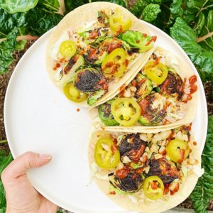 vegan brussels sprouts tacos