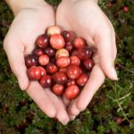 Why You Should Be Eating Cranberries