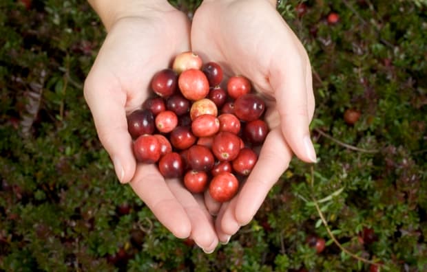 Why You Should Be Eating Cranberries
