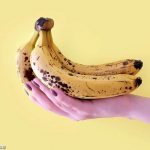 Eat Your Way to Gains! Gaining Strength From Your Diet