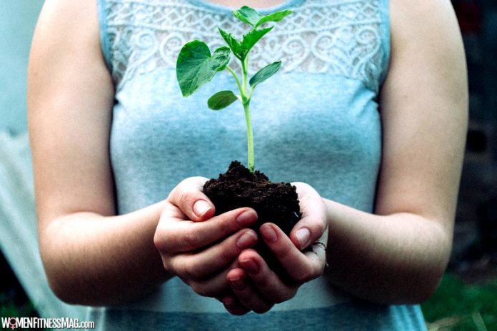 Say Hello To A Sustainable Lifestyle This New Year