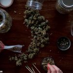 Types Of Weeds, Is Reggie A Good Quality Weed?