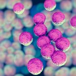 The Biden Administration Needs to Wage War Against Antimicrobial Resistance Starting on Day One