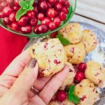 50 BEST Vegan Christmas Cookie Recipes