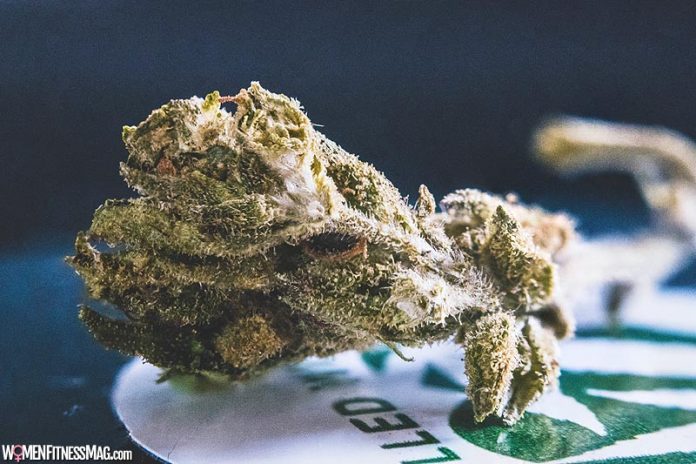 5 Amazing And Easy Ways In Which You Can Add Delta 8 THC To Your Lifestyle