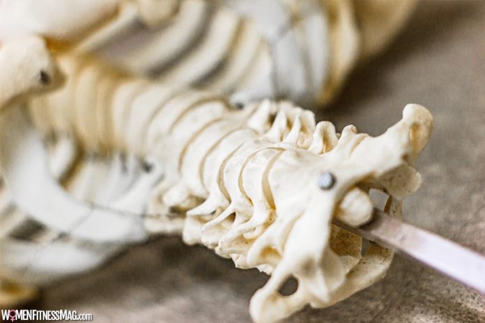 All You Have to Know About Orthopedic Spine Surgeon New York