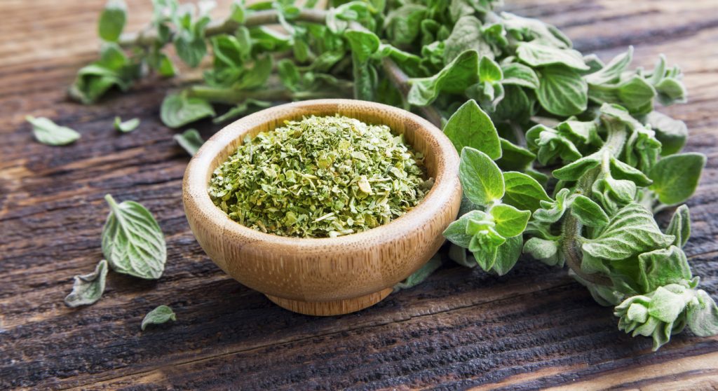 Discover the Surprising Health Benefits of Oregano