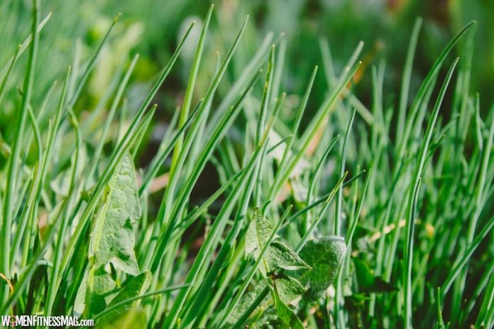 FAQ About Paraquat Exposure