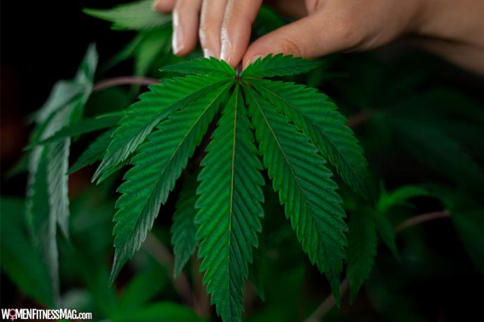 The Benefits Of Cannabis For Women’s Reproductive Health