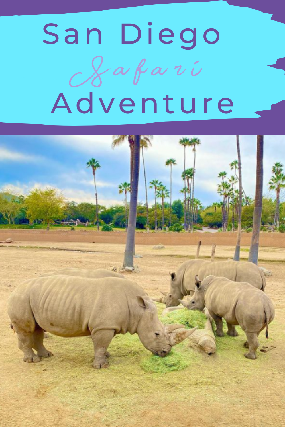 San Diego Safari Adventure