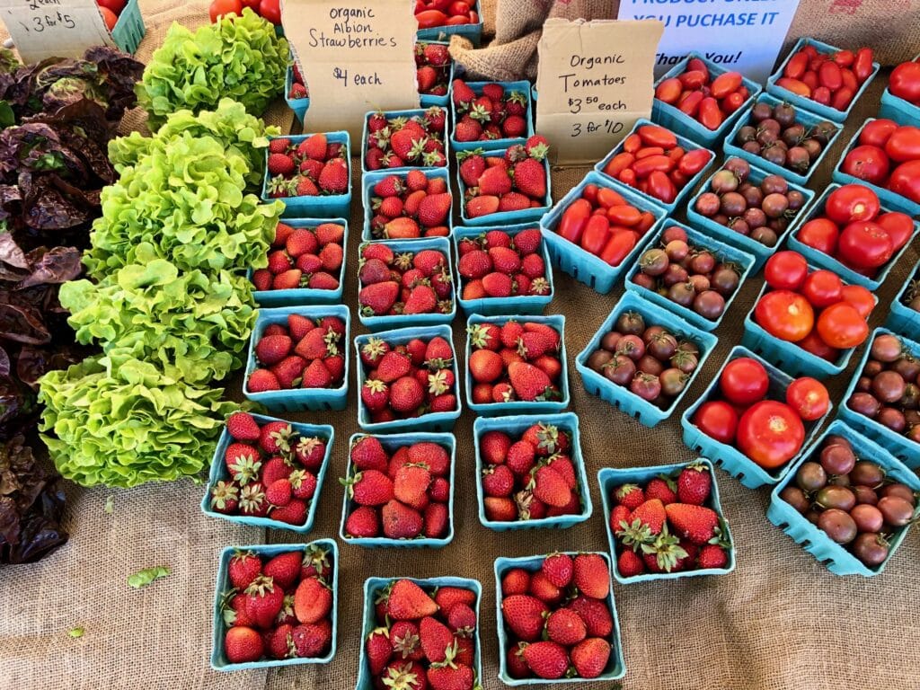 Power Up Kids’ Eating Habits