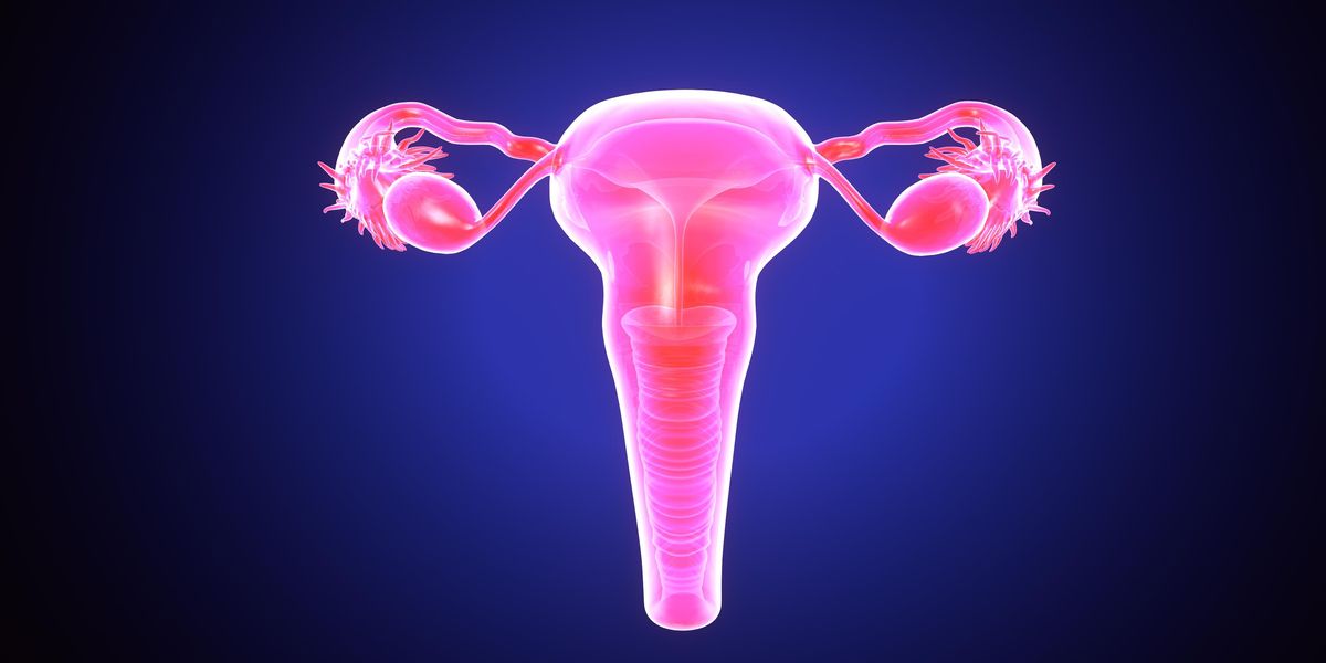 From Healthy Births to Sustainable Management, 5 Essential Reads on the Fascinating and Complex Vagina