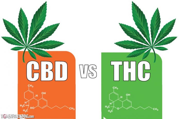 Is there any difference between THC-O and CBD?