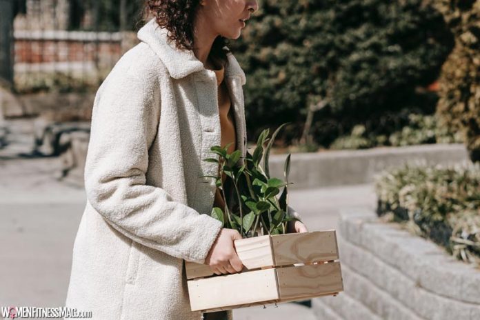 Moving Tips for Houseplant Owners