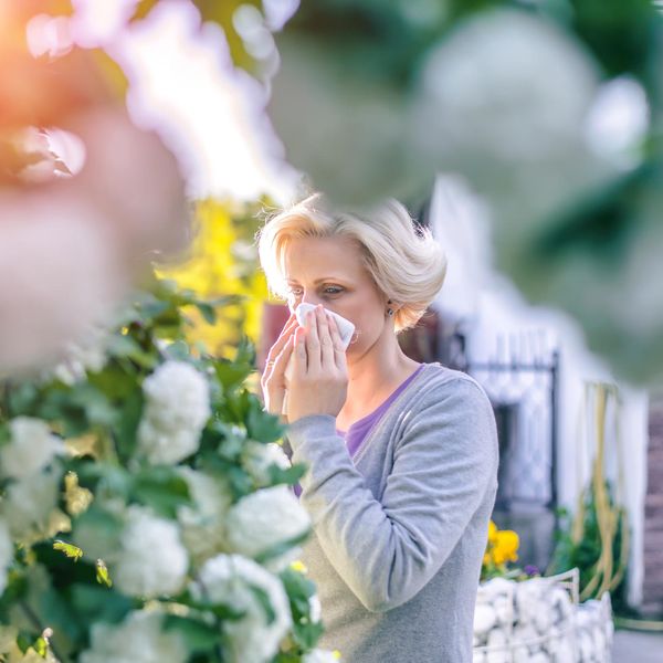 Pollen Season Is Getting Longer and More Intense With Climate Change – Here’s What Allergy Sufferers Can Expect in the Future