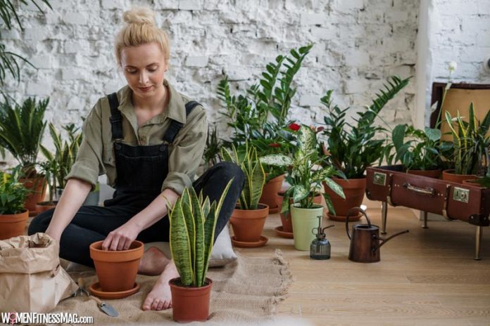 Best Home Gardening Tips For Your New Home In 2022