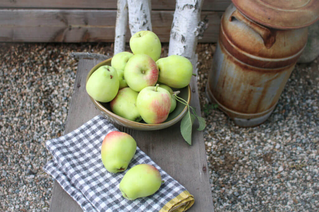 Organic Benefits for Children