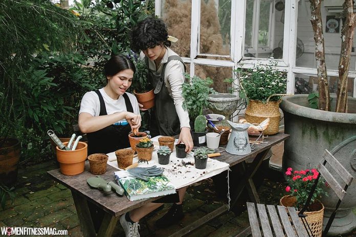 How Your Garden Centre Can Benefit from Wholesale Garden Supplies