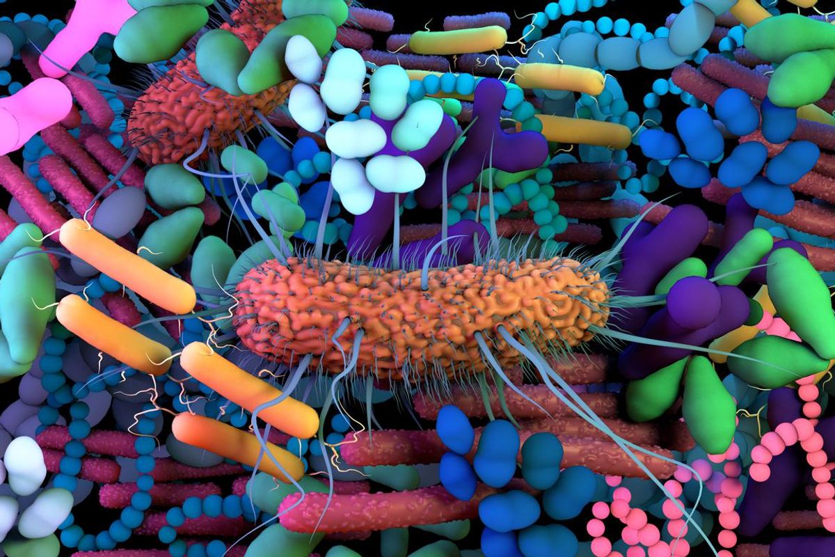 When It Comes to Your Microbiome, More Germs Are Better