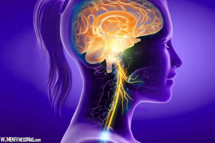 An Explanation of the Vagus Nerve and Why We Would Stimulate It