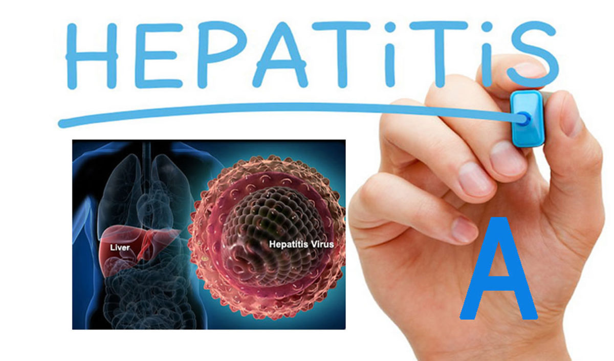 Hepatitis A: A Safety Concern