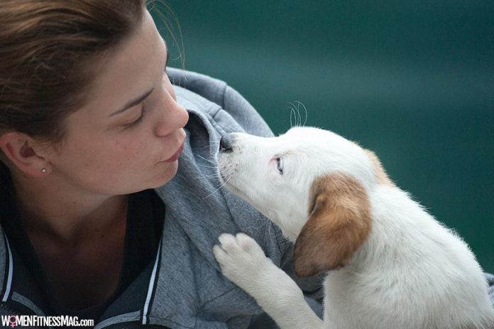 How To Choose Pet Insurance for Puppies