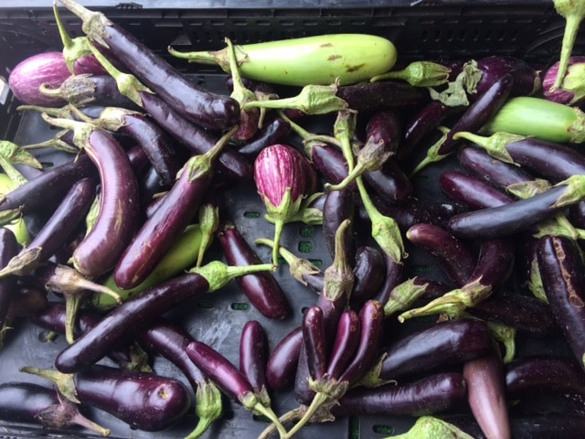 What Are the Health Benefits and Risks for Nightshades?