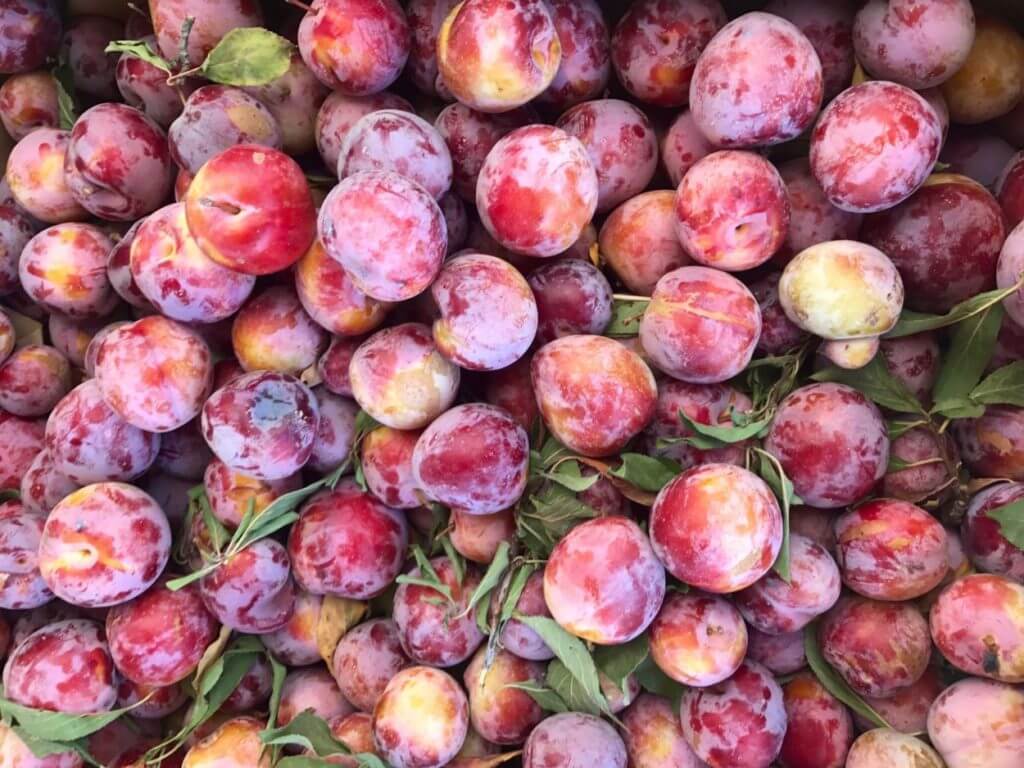 Skim the Sugar in Kids’ Diets, Turn to Fruit Power!