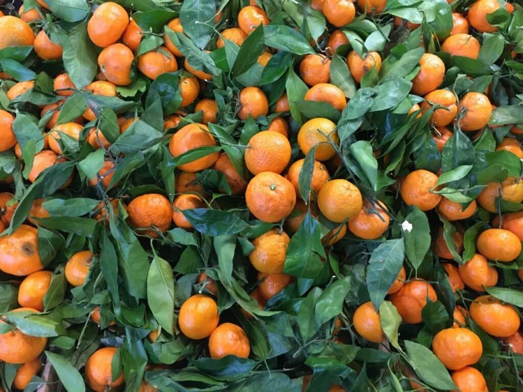 Clean Eating for Kids