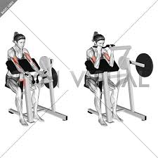 Best Exercise for Toned Arms