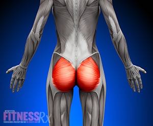 Shaping a Better Butt