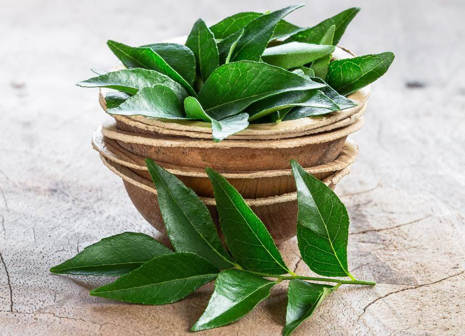 Amazing Health Benefits of Indian Curry Leaves