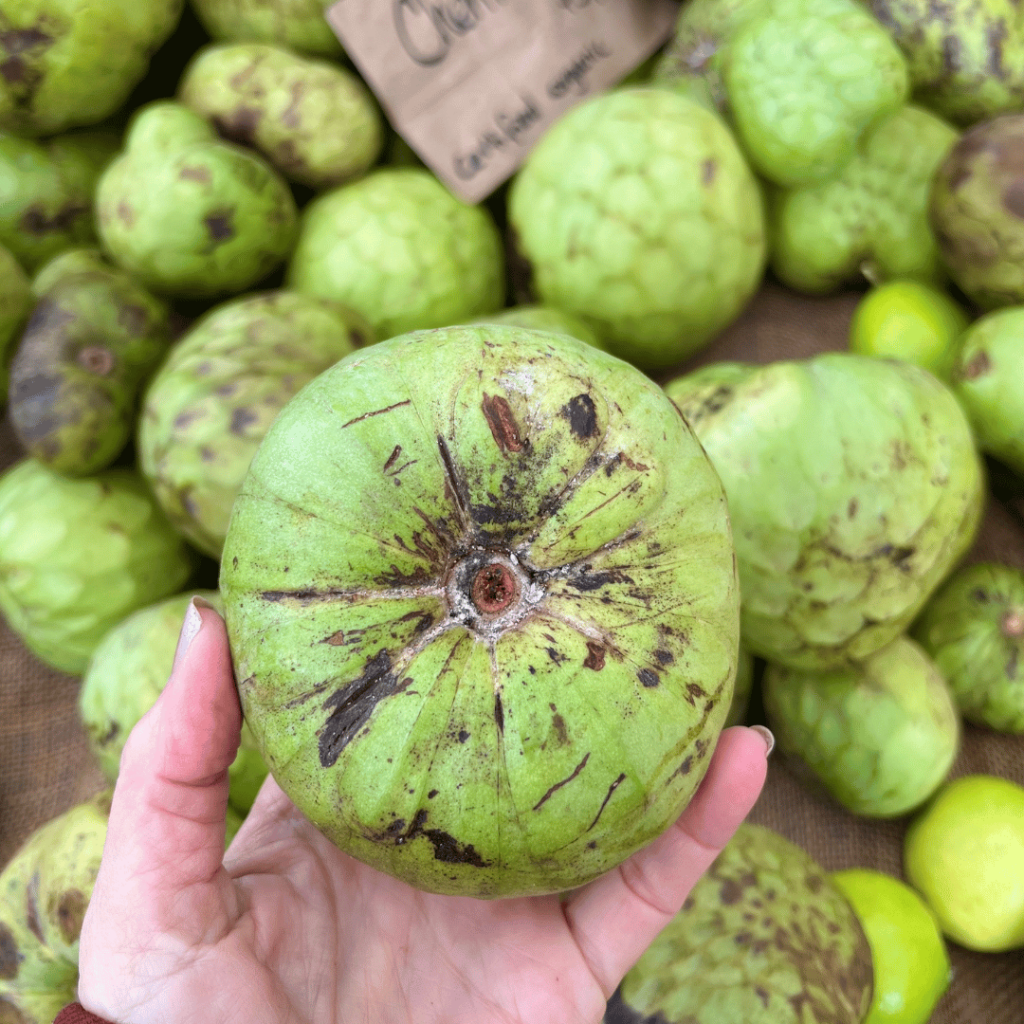 How to Use Cherimoya
