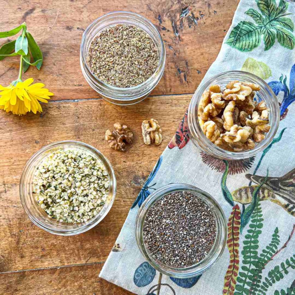 Vegan Omega 3: What You Need to Know