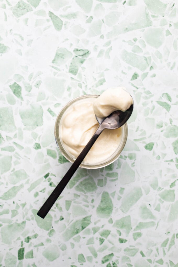 3 Minute Avocado Oil Mayo Recipe