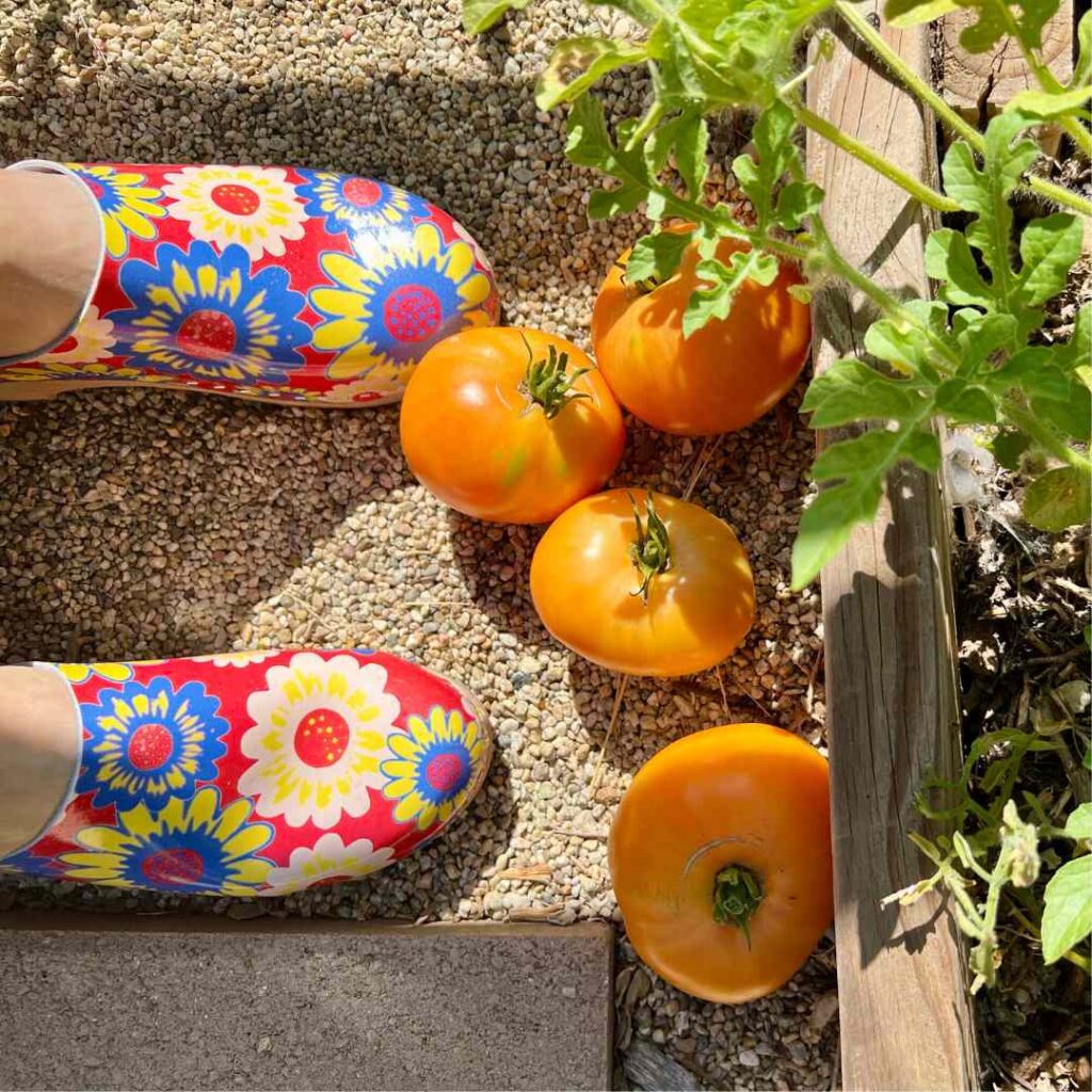 The Many Benefits of Learning How to Grow Your Own Food