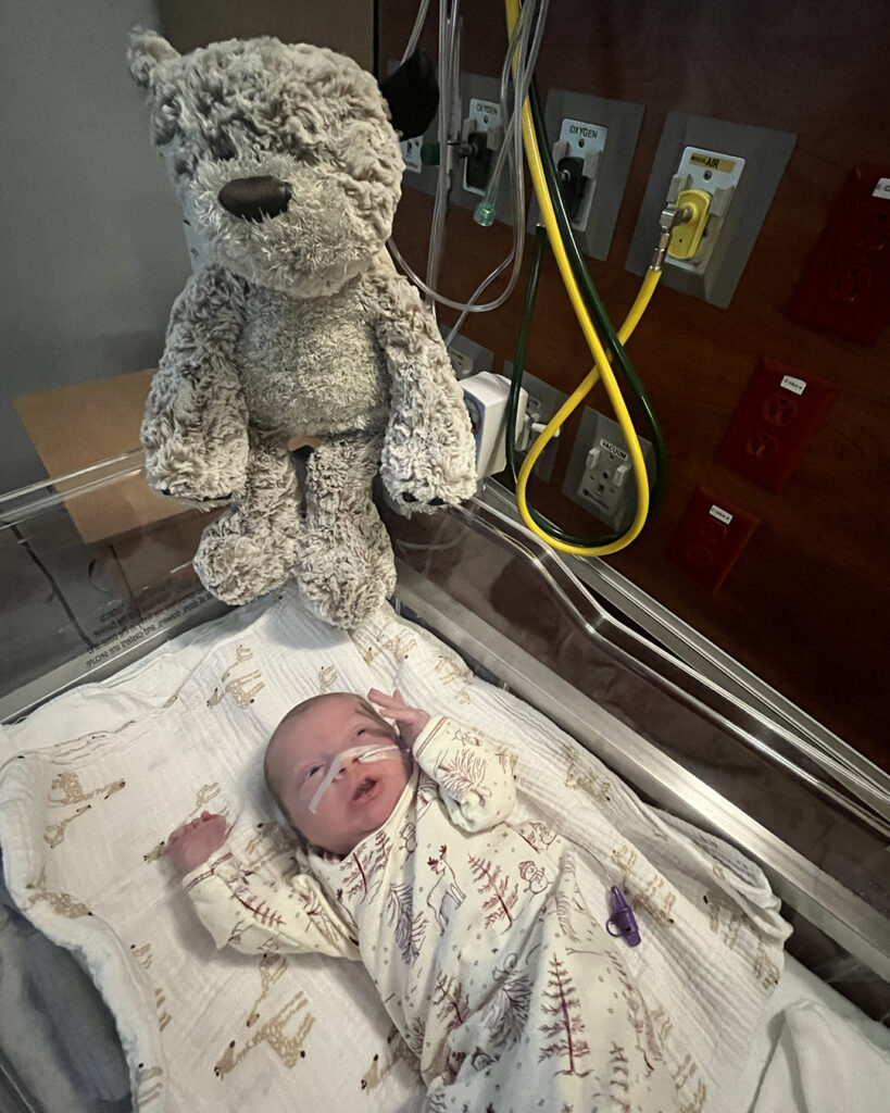 Giving Bears from Messengers Gifts