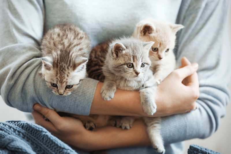 Why is self-compassion important? Because it’s not all rainbows and kittens.