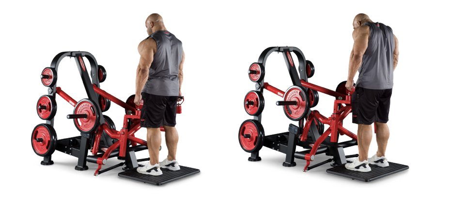 Panatta SUPER SHRUG MACHINE