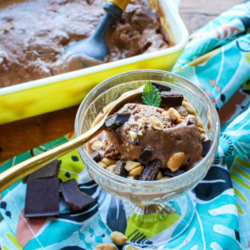 Chocolate Peanut Butter Ice Cream