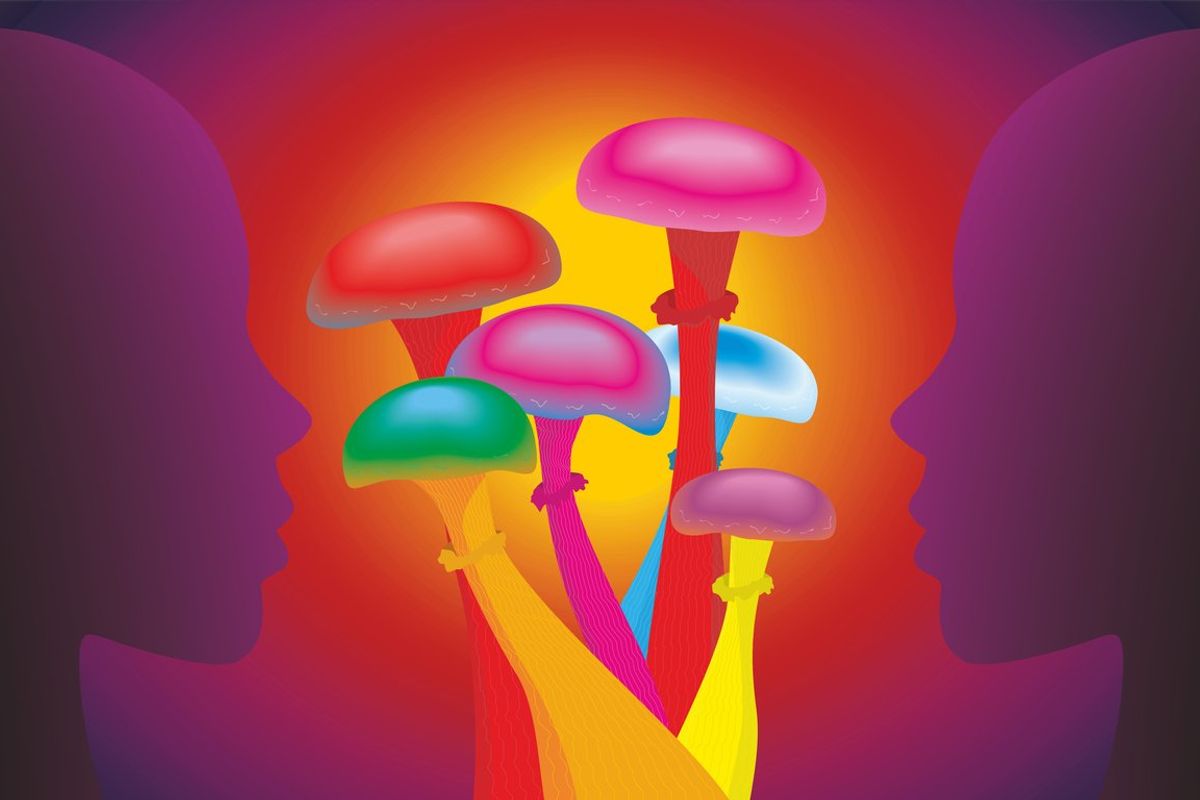 Are Medical Mushrooms Really Magic?