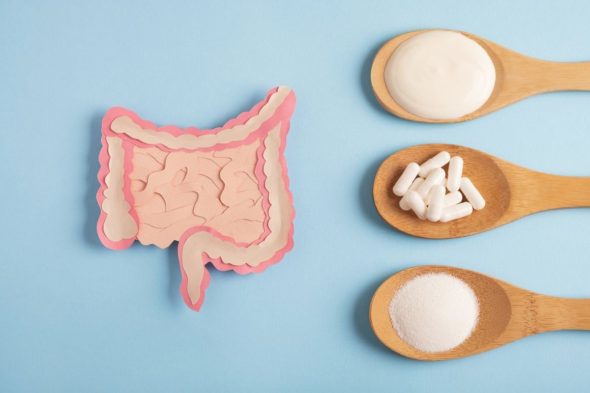 What You Need to Know About Probiotics and Prebiotics