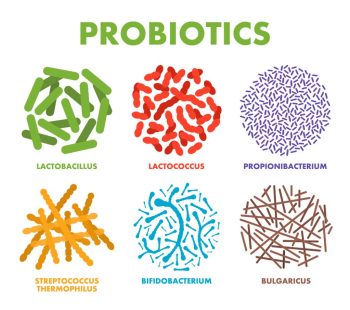 What’s All the Fuss About Probiotics and Prebiotics?
