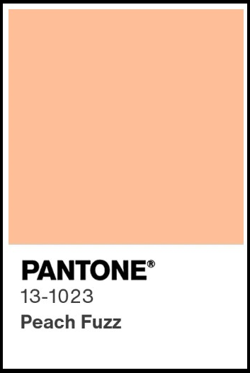 Pantone’s Color of 2024: Peach Fuzz!