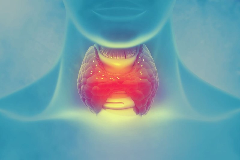 Gaining Weight? Always Tired? Your Thyroid May be the Culprit.