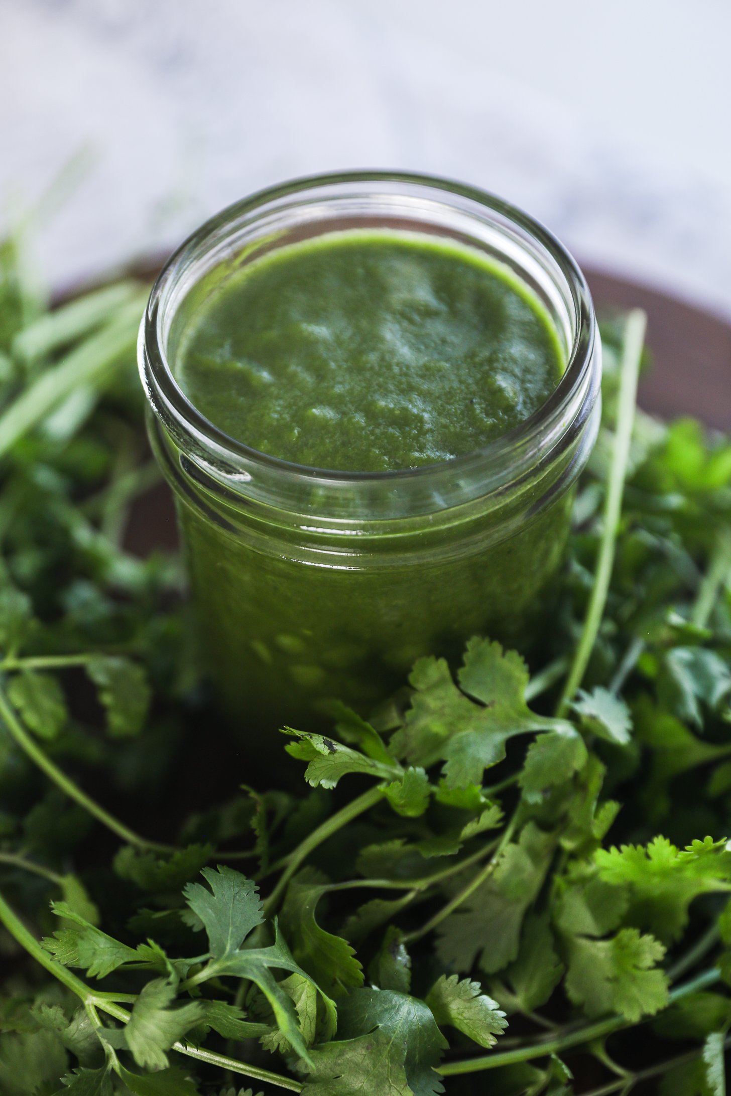 Indian Green Chutney For Kebabs, Tikka & Chaats