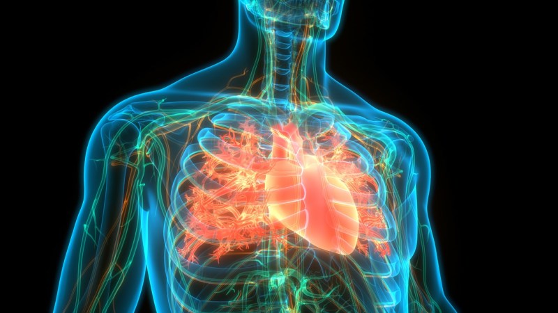 Cardiac vs. Non-Cardiac Chest Pain – What You Need to Know