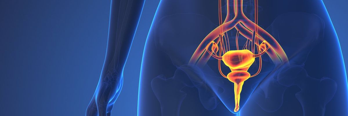 ​FAQ’s About Reproductive Health and Bladder Cancer